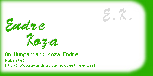 endre koza business card